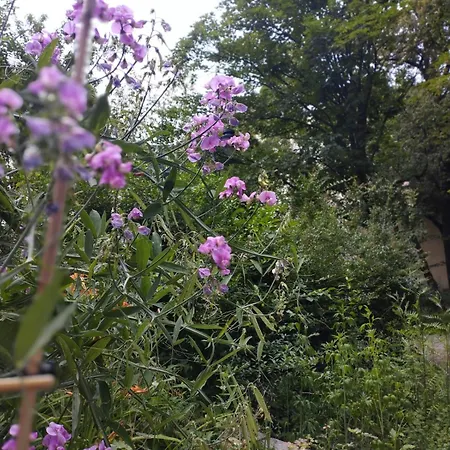 Antoniego Old Town Apartment *