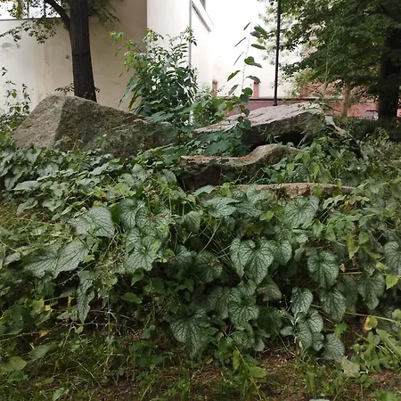 Apartment Antoniego Old Town