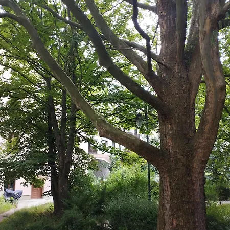 Apartment Antoniego Old Town